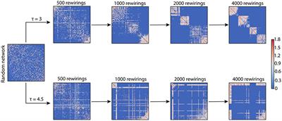 Adaptive Rewiring in Weighted Networks Shows Specificity, Robustness, and Flexibility